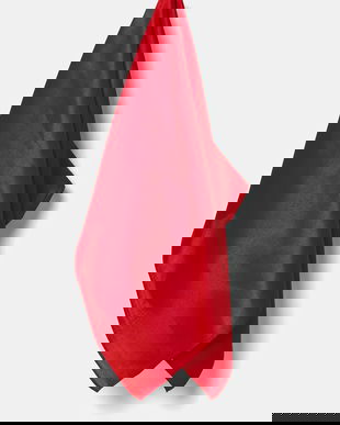 Answear.LAB esarfa de matase culoarea rosu, neted