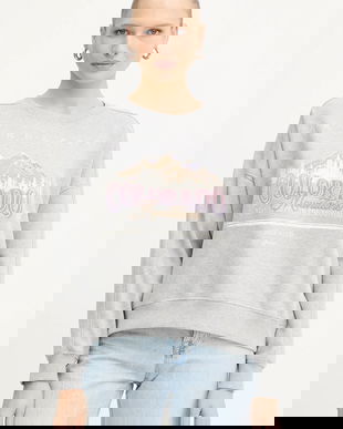 BOSS Orange hanorac de bumbac culoarea gri, cu imprimeu, 50549186