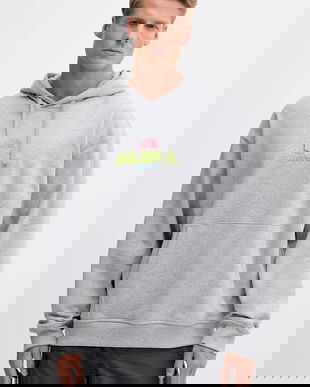 The North Face bluză Expedition Celebration culoarea gri, cu glugă, cu imprimeu, NF0A8E3FDYX1