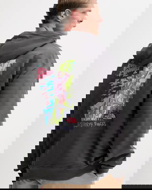 The North Face hanorac de bumbac Expedition Celebration culoarea gri, cu glugă, cu imprimeu, NF0A8E3FRHI1