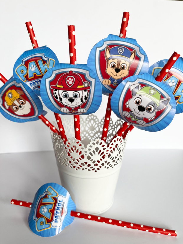 Toppere Paw Patrol