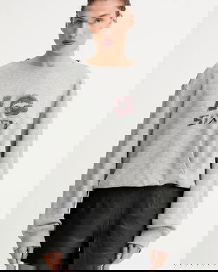 Miss Sixty hanorac din amestec de lână culoarea gri, cu imprimeu, 6S3TJ59000