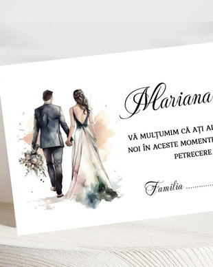 Plicuri nuntă siluete mii