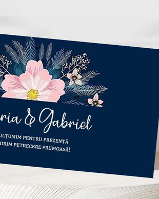 Plic bani nuntă bleumarin cu roz