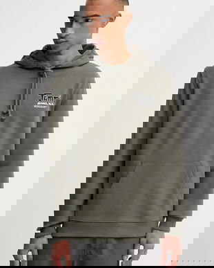 Tommy Jeans hanorac de bumbac culoarea verde, cu glugă, cu imprimeu, DM0DM22086