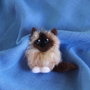 Brosa/decor`Fifi `