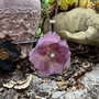 Pandantiv din rasina cu floare naturala de Hortensie