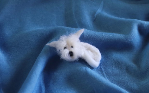 Brosa/decor`Albus`
