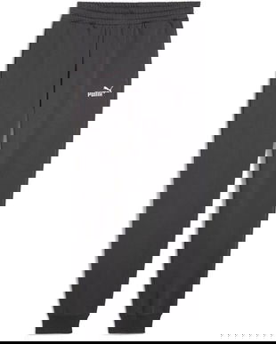 Pantaloni barbati Puma Ess No. 1 Logo Sweatpants Fl Cl S 68260744, S, Gri