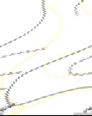 Fossil colier JF04906710