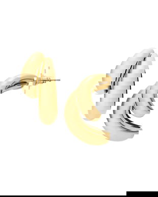 Fossil cercei JF04898710