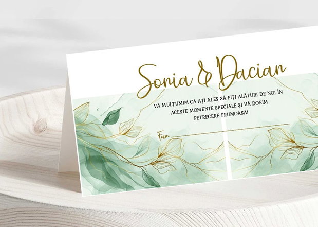 Plicuri bani nuntă vernil