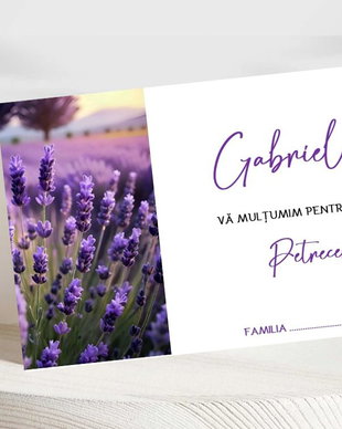 Plicuri bani nuntă lan de lavandă