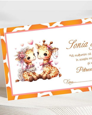 Plicuri bani botez gemene baby girafe