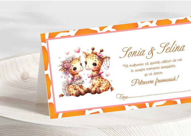 Plicuri bani botez gemene baby girafe