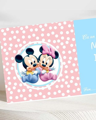 Plicuri bani botez gemeni Minnie & Mickey mouse