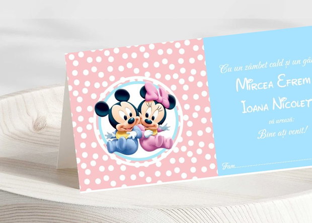 Plicuri bani botez gemeni Minnie & Mickey mouse