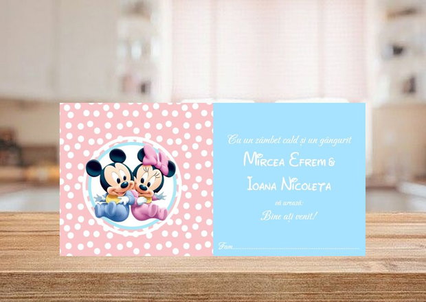 Plicuri bani botez gemeni Minnie & Mickey mouse