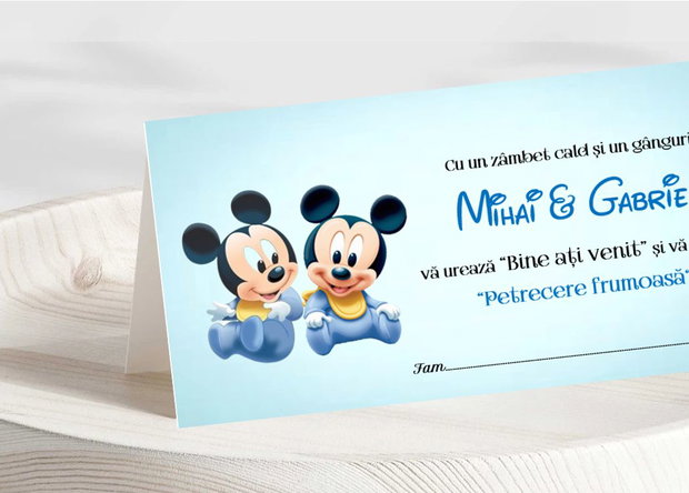 Plicuri bani botez gemeni tematica baby Mickey mouse