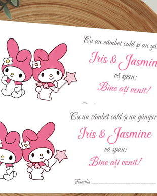 Plicuri bani botez  gemene, tematica My Melody