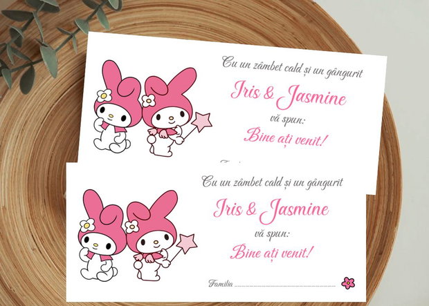 Plicuri bani botez gemene, tematica My Melody