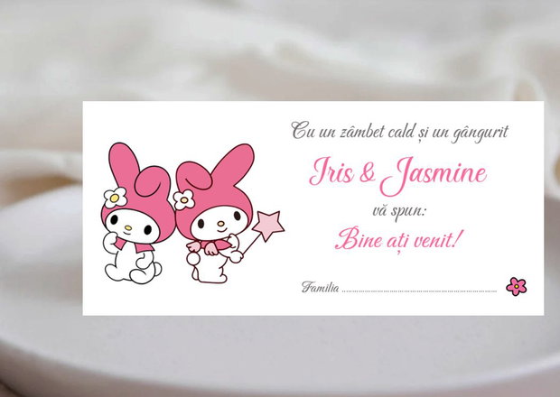 Plicuri bani botez gemene, tematica My Melody
