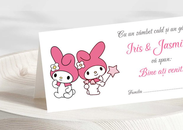Plicuri bani botez gemene, tematica My Melody