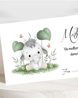 Plicuri bani botez Elefănțel
