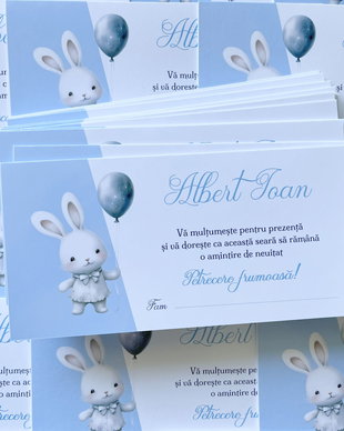 Plicuri bani botez băieței Iepuraș cu balon
