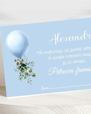 Plic bani botez Balon și verdeață