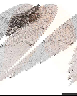 Set doua aripi de inger