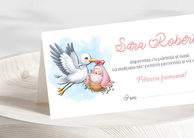 Plicuri bani botez fetițe Barză