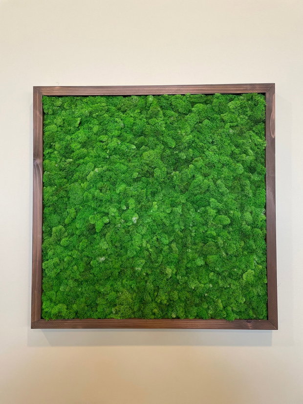 Tablou cu licheni stabilizați 100×50 cm Decor natural interior