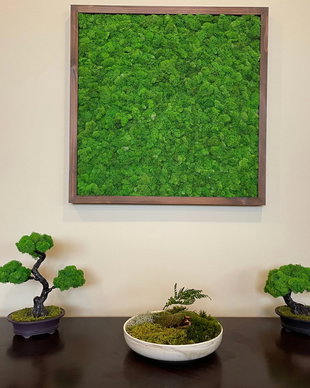Tablou cu licheni stabilizați 100×50 cm  Decor natural interior