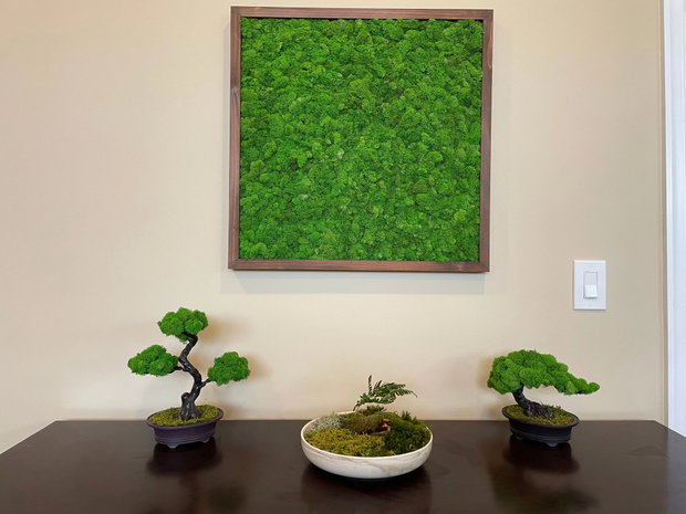 Tablou cu licheni stabilizați 100×50 cm Decor natural interior