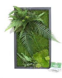 Tablou cu licheni stabilizați 70×30 cm  Decor natural interior