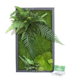 Tablou cu licheni stabilizați 70×30 cm Decor natural interior