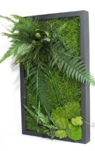 Tablou cu licheni stabilizați 70×30 cm Decor natural interior