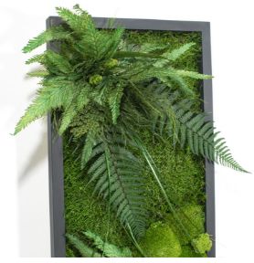 Tablou cu licheni stabilizați 70×30 cm Decor natural interior