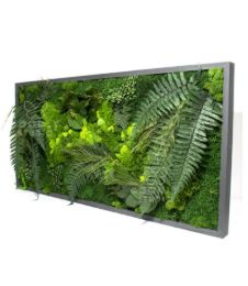 Tablou cu licheni stabilizați 100×50 cm Decor natural panoramic