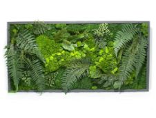 Tablou cu licheni stabilizați 100×50 cm Decor natural panoramic