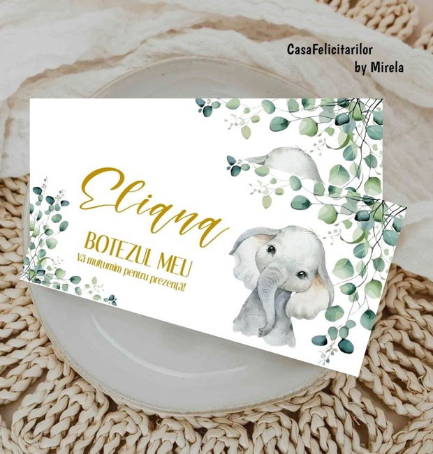 Plicuri bani botez fetițe Elefănțica