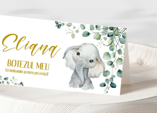 Plicuri bani botez fetițe Elefănțica