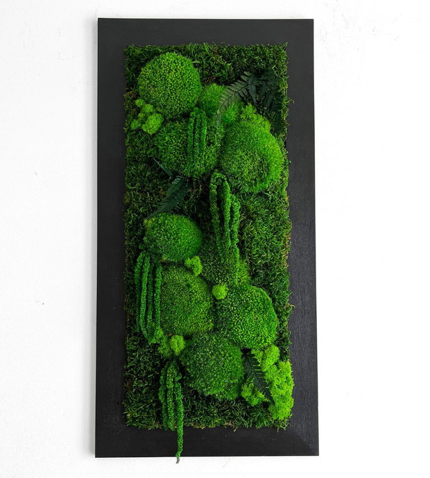 Tablou cu licheni stabilizați 60x30 cm  decor natural handmade