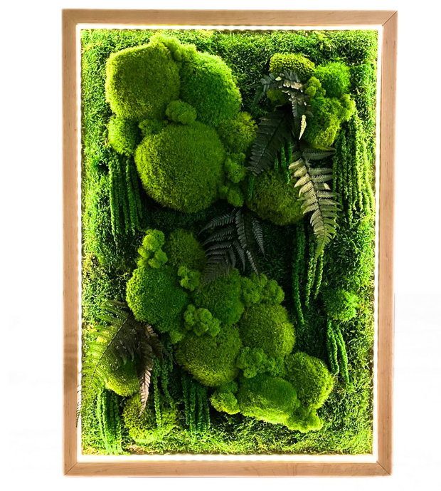 Tablou cu licheni stabilizați 70x50 cm  decor natural handmade
