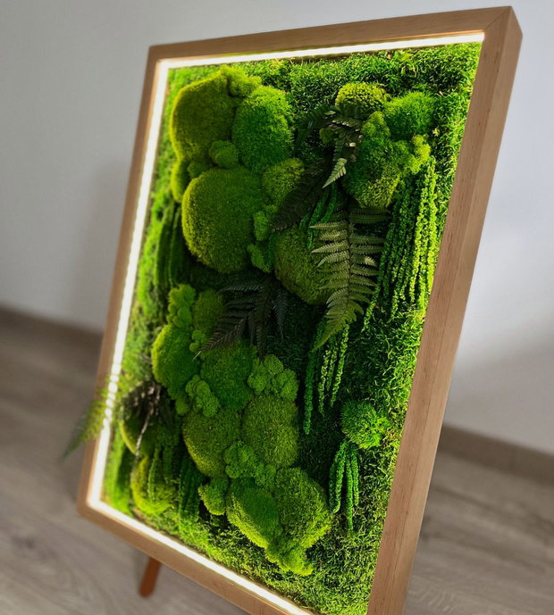 Tablou cu licheni stabilizați 70x50 cm  decor natural handmade