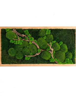 Tablou cu licheni stabilizați 80x40 cm  decor natural handmade