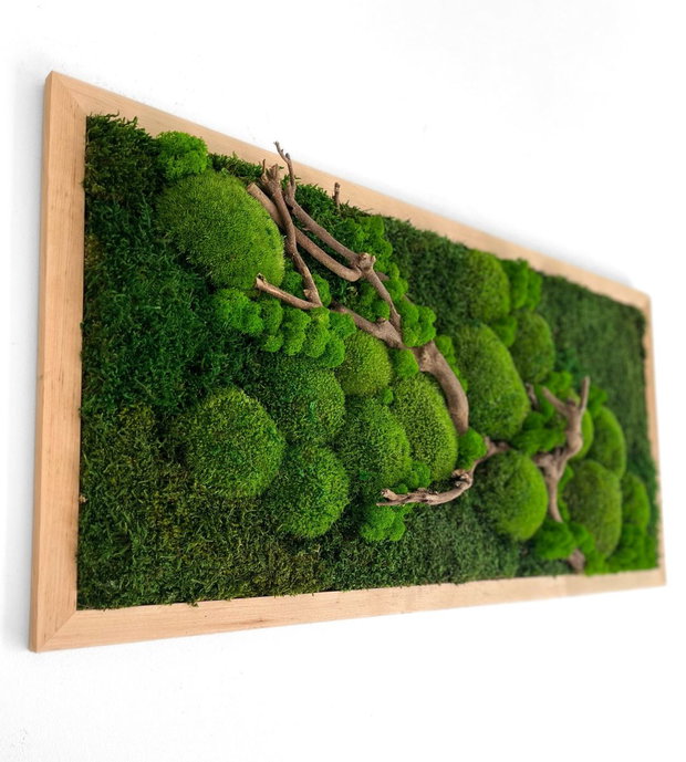 Tablou cu licheni stabilizați 80x40 cm  decor natural handmade