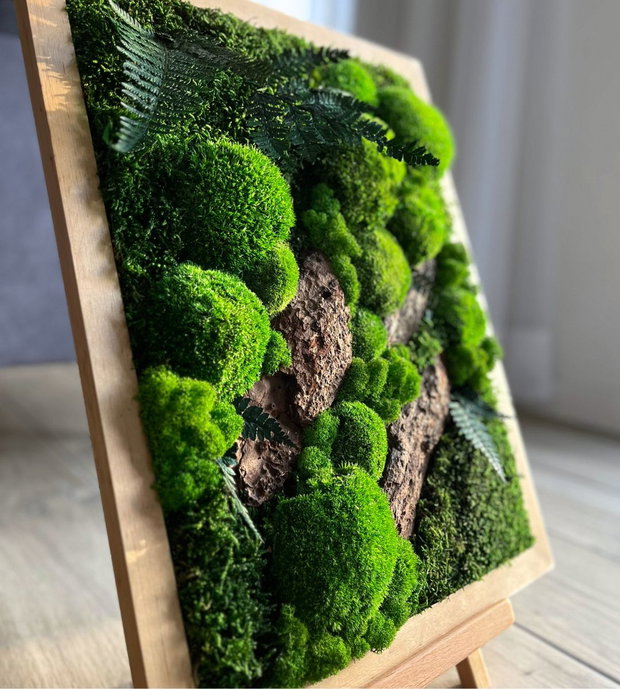 Tablou cu licheni stabilizați 50x40 cm  decor natural handmade