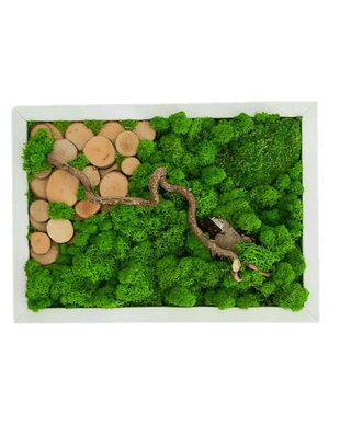 Tablou cu licheni stabilizați 30x25 cm  decor natural handmade